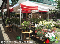 フラワーマルシェ