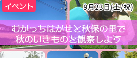 むかっちはかせと秋保の里で秋のいきものを観察しよう