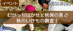 むかっちはかせと秋保の里で秋のいきもの調査！