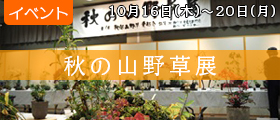 秋の山野草展