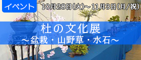 杜の文化展～盆栽・山野草・水石～