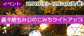秋保・里センター散策路　磊々峡もみじのこみち ライトアップ