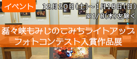 磊々峡もみじのこみちライトアップ　フォトコンテスト入賞作品展