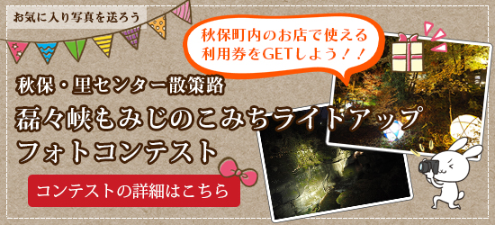 磊々峡もみじのこみち ライトアップ