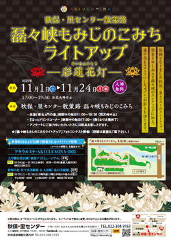 磊々峡もみじのこみち ライトアップ