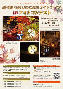 紅葉ライトアップ