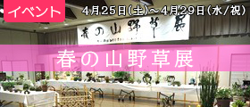 春の山野草展