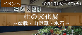杜の文化展～盆栽・山野草・水石～