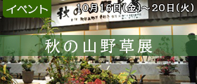 秋の山野草展