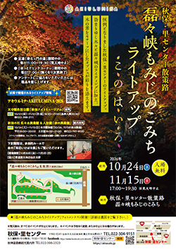 磊々峡もみじのこみち ライトアップ