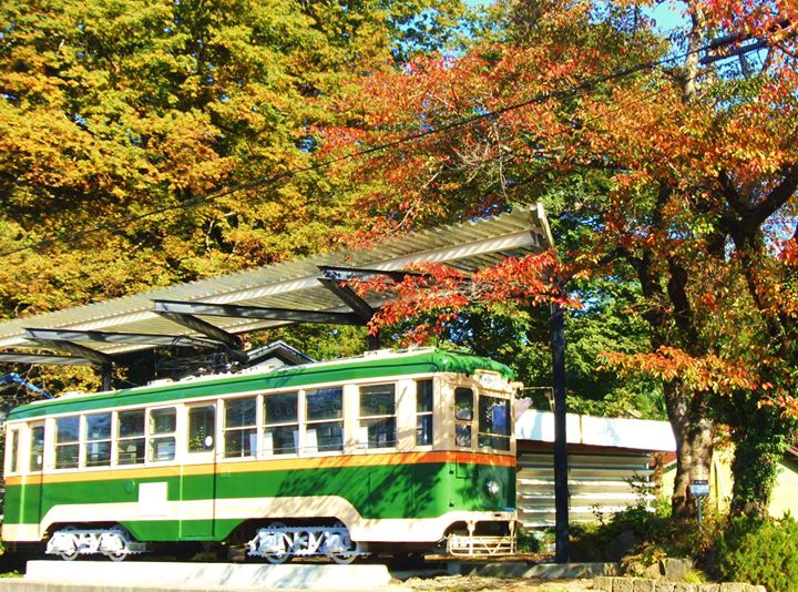 “旧仙台市電”周辺の紅葉状況