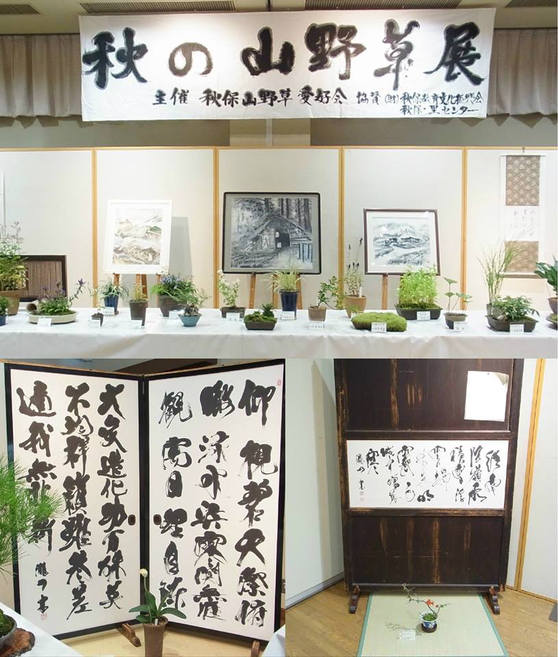 秋の山野草展