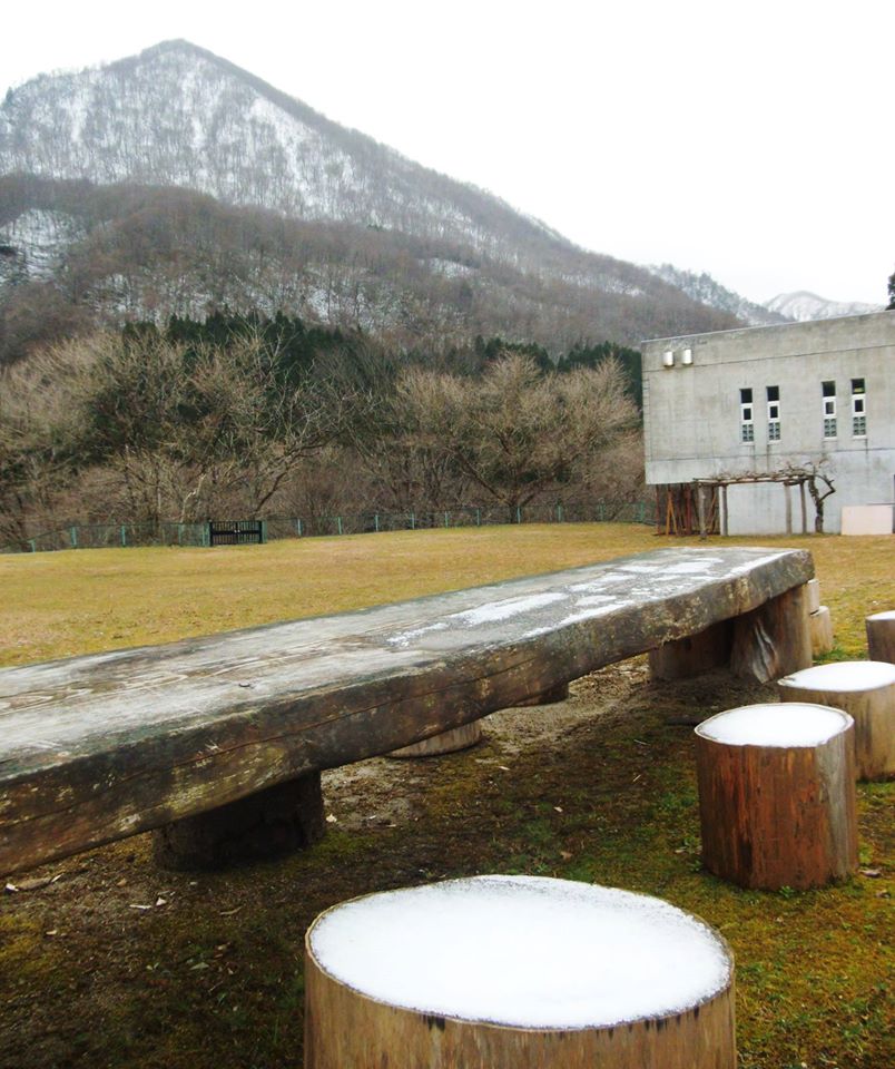 粉雪が舞い散り始めました