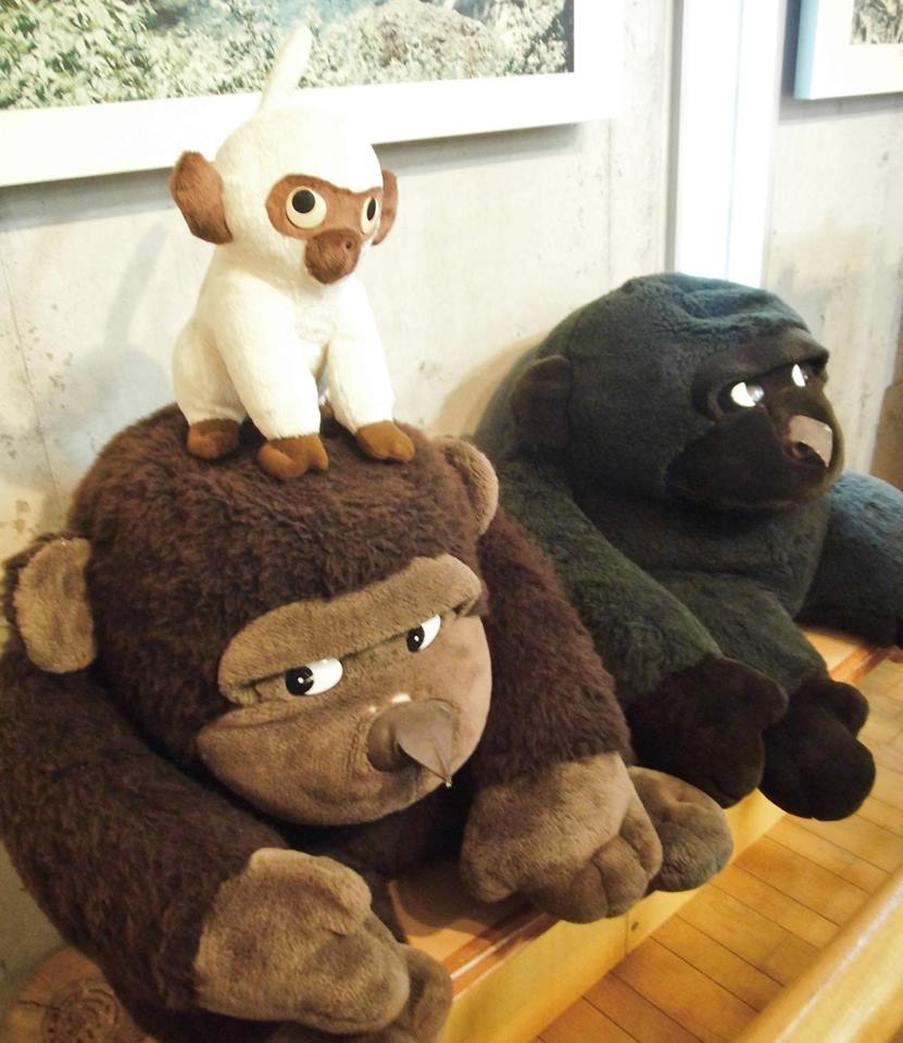 いつもご覧頂き、ありがとうございます