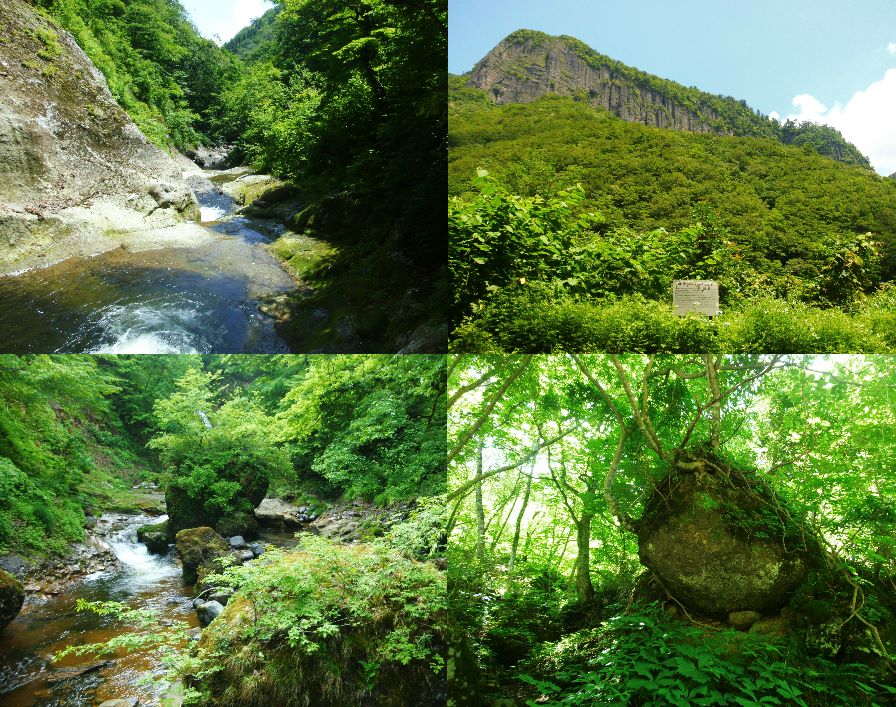 緑が眩しい二口峡谷