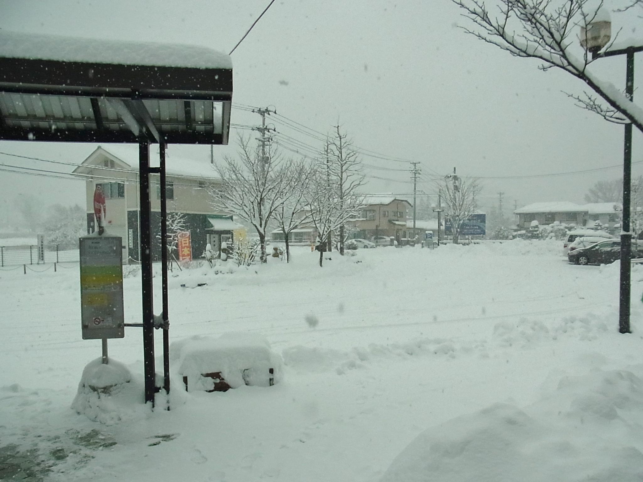 大雪にご注意ください！