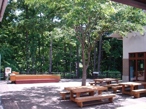 ウッドデッキ補修工事について