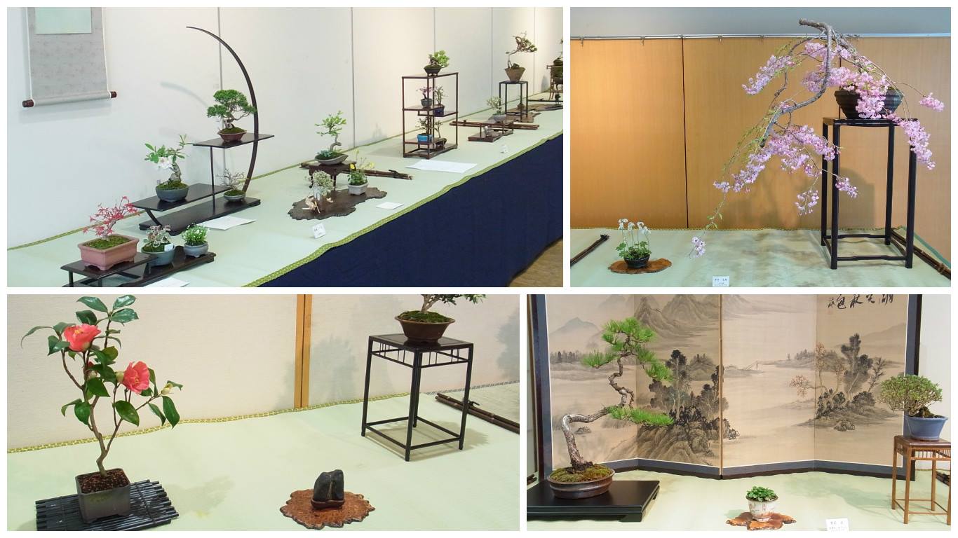 杜の文化展～盆栽・山野草・水石～