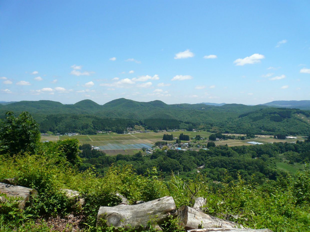 「楯山」に登ろう！