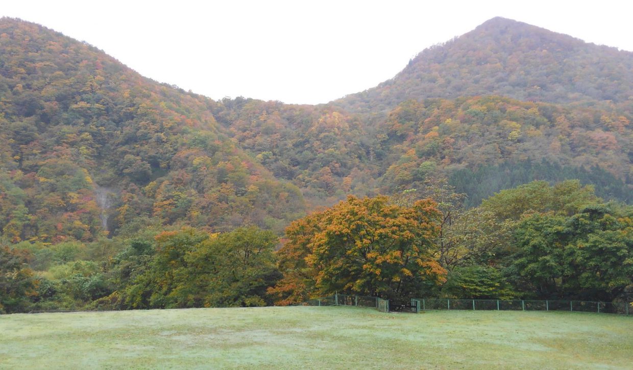 二口峡谷、三方倉山が紅葉中。