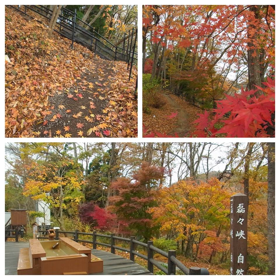 散策路「磊々峡もみじのこみち」のもみじは、まだまだ見頃です♪