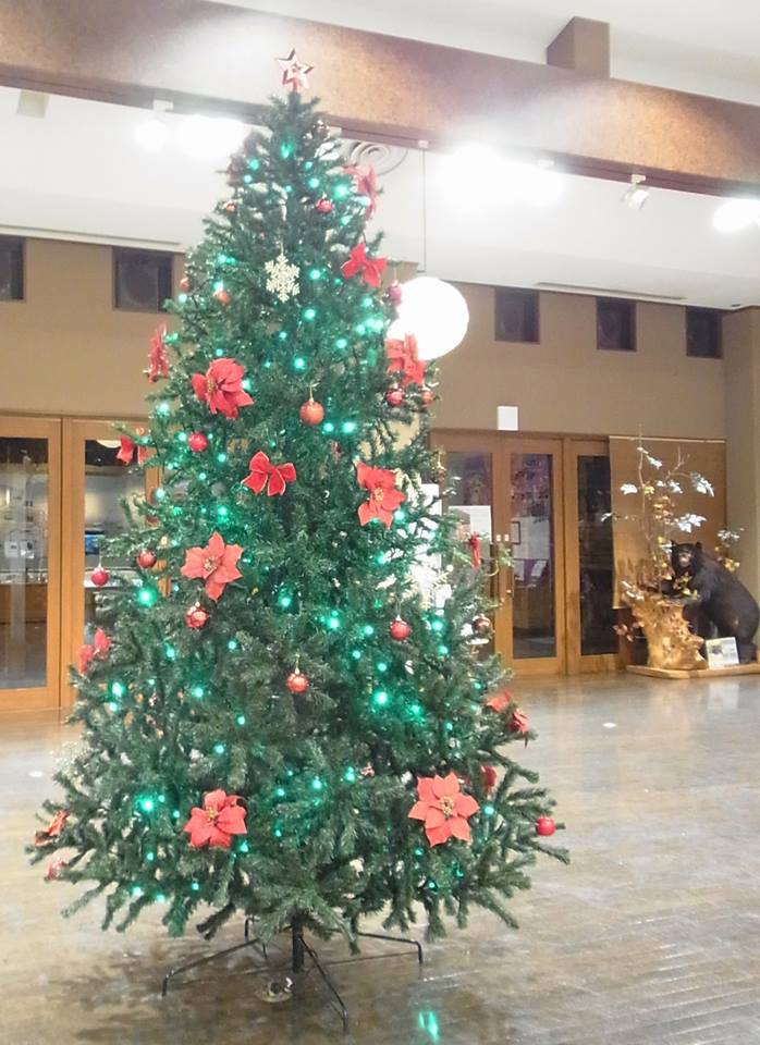 大きなクリスマスツリー‼