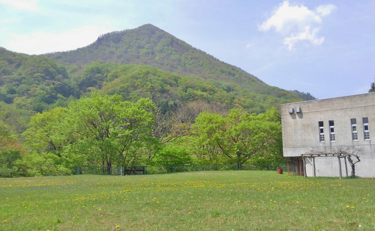 緑増す二口峡谷・秋保ビジターセンターです。