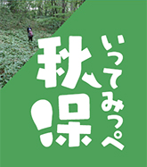 練田峠を歩いてみる