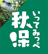 大堰堀水路を歩く