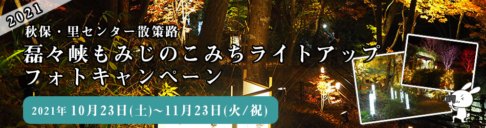磊々峡もみじのこみちライトアップフォトキャンペーン