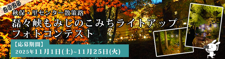 磊々峡もみじのこみちライトアップフォトコンテスト