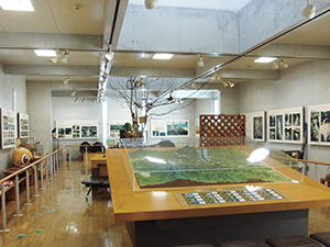 Exhibition room