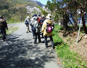 Futakuchi Rindo snow thaw observation trip