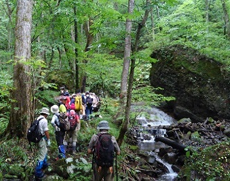 Trekking to the waterfalls tour