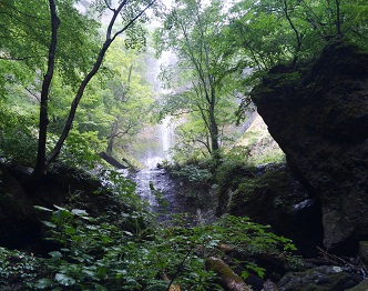 Trekking to the waterfalls tour