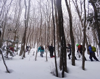 Hiking with snowshoes